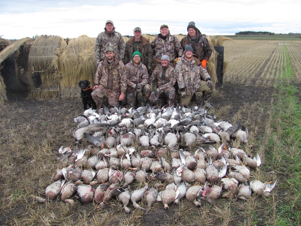 Welcome to Lambley's Hunts from the Heart (4) Welcome to Lambley's Hunts from the Heart (4)